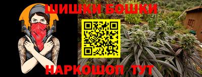 прущие грибы Лесосибирск