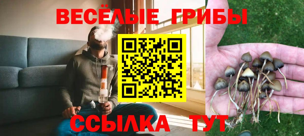 Псилоцибиновые грибы ЛСД Тобольск